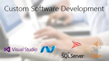 Custom Software Development